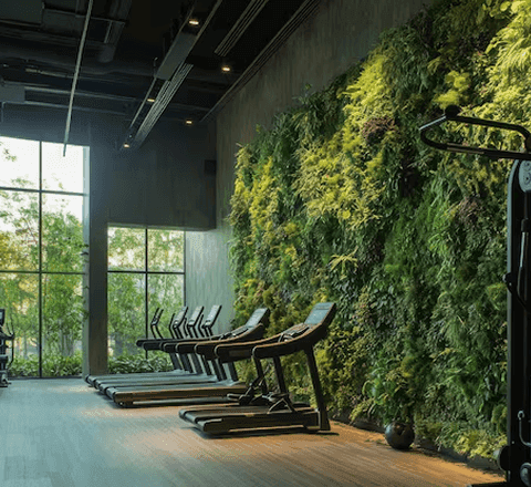 Green Gym